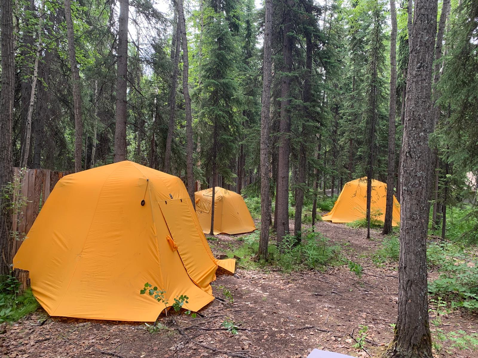 Sven's Basecamp Hostel Facilities and Grounds - Image 9