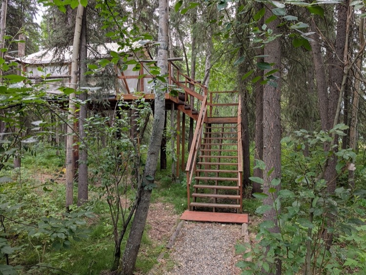 Eagles Nest Treehouse - Image 1