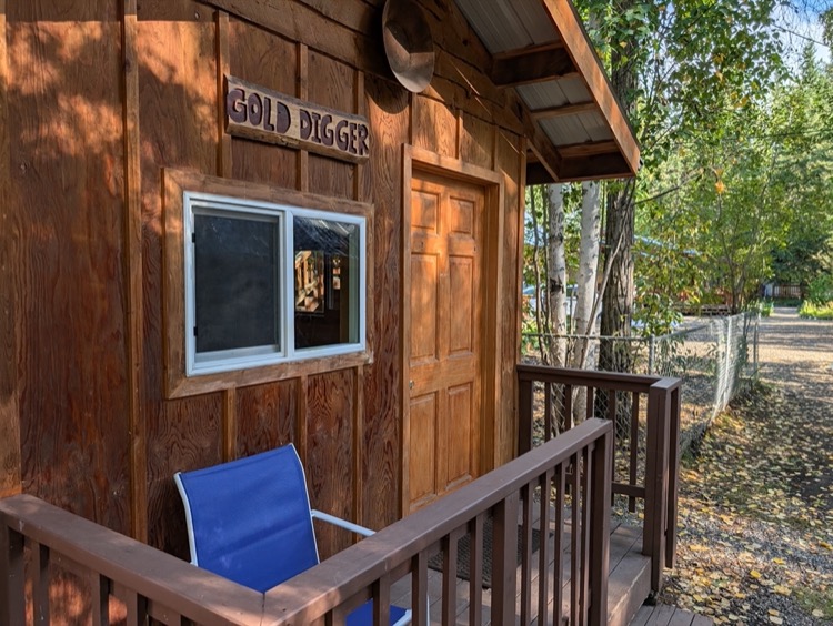 Gold Digger - Image 1