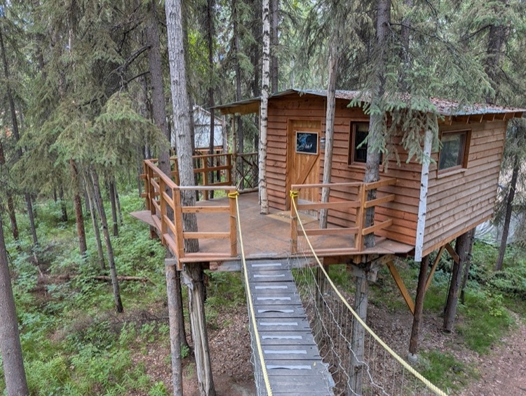 The Indiana Jones Tree House - Image 1