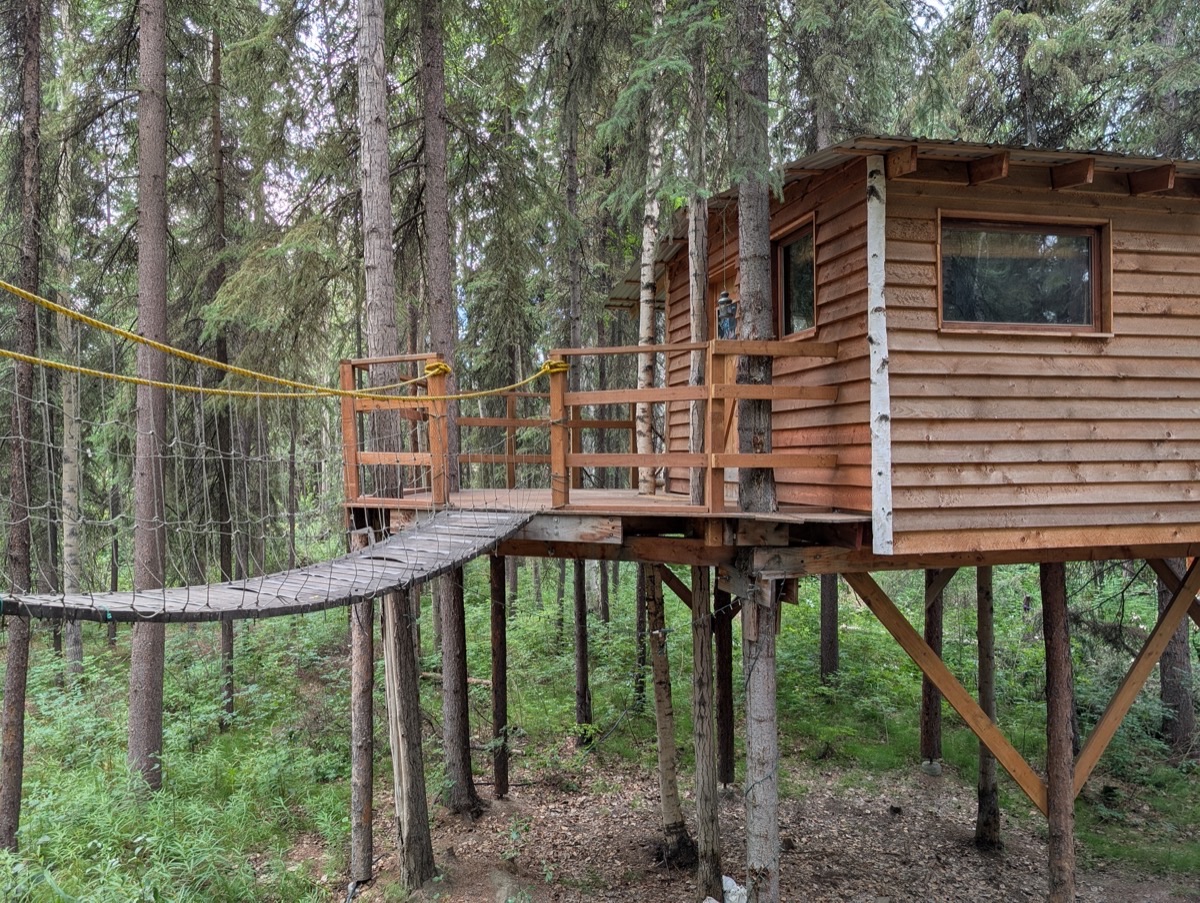 The Indiana Jones Tree House - Image 2